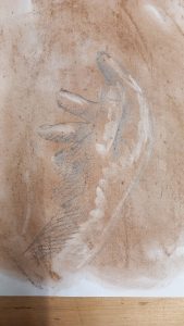 Drawing Classes in Pembrokeshire
