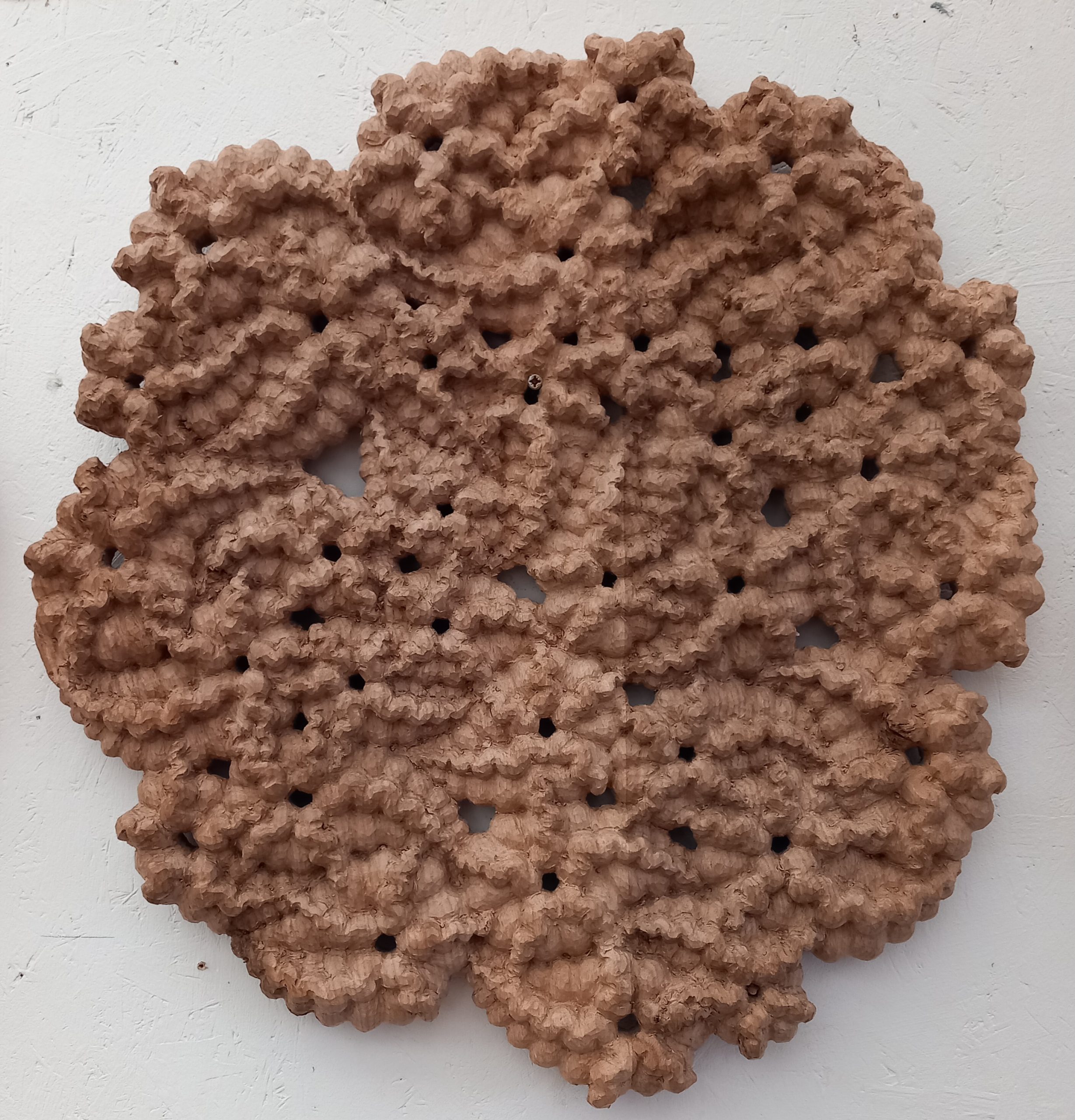 Through a Kaleidoscope 